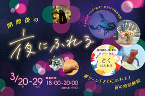 ニフレル「夜にふれる」