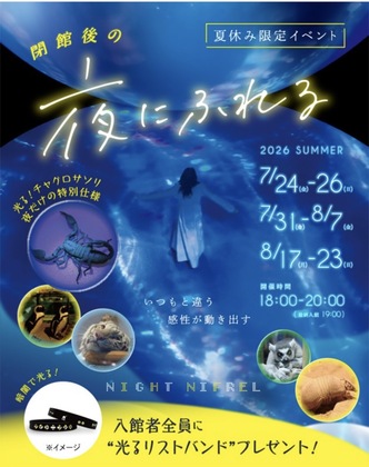 2026夏ニフレル「夜にふれる」へ