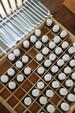 【7/5〜7/12  ikeda weekly schedule】