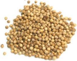 09 Coriander (コリアンダー)