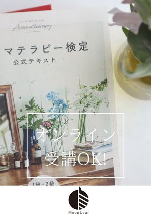 091: オンライン受講、可能です